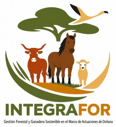 Logo de Integrafor — ir al inicio